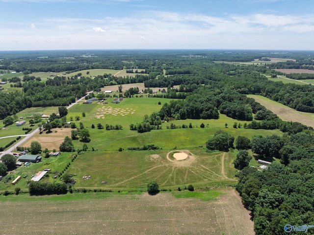 1167 County Road 181, Lexington, AL 35648