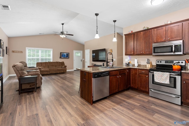 7110 New Bethel Rd, Hokes Bluff, AL 35903 - kitchen featuring appliances with stainless steel finishes, a sink, a peninsula, dark wood finished floors, and lofted ceiling