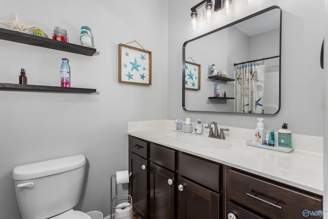 7110 New Bethel Rd, Hokes Bluff, AL 35903 - bathroom featuring toilet, vanity, and curtained shower