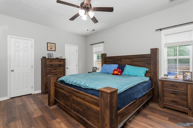 7110 New Bethel Rd, Hokes Bluff, AL 35903 - bedroom with dark wood-style flooring, multiple windows, and a ceiling fan