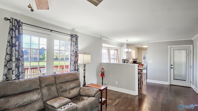 living room with dark hardwood / wood-style flooring, an inviting chandelier, crown molding, and a healthy amount of sunlight