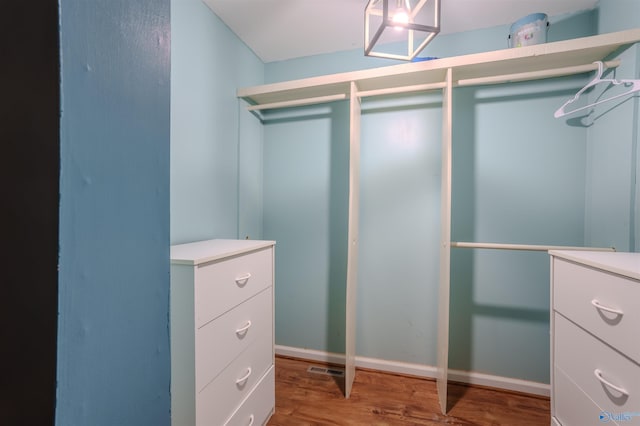 walk in closet with wood-type flooring