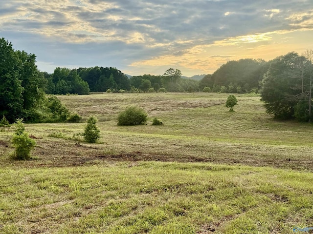 417 County Road 582, Collinsville, AL 35961