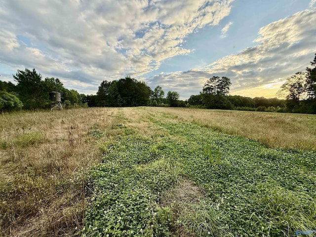 417 County Road 582, Collinsville, AL 35961