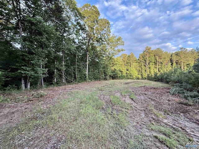 417 County Road 582, Collinsville, AL 35961