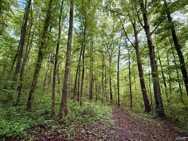 417 County Road 582, Collinsville, AL 35961