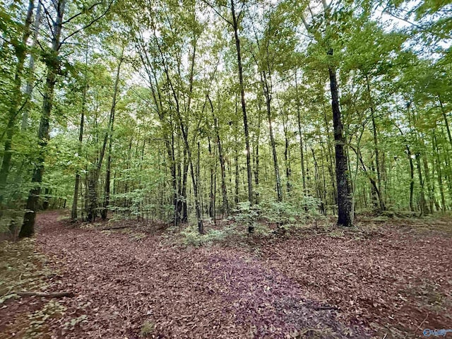 417 County Road 582, Collinsville, AL 35961