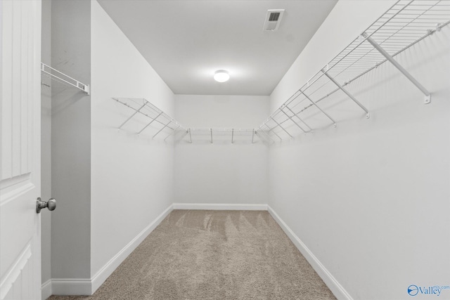 spacious closet featuring carpet floors