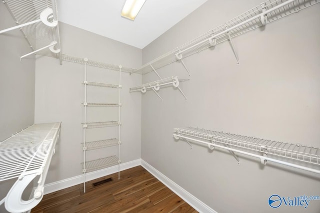 walk in closet featuring visible vents and wood finished floors