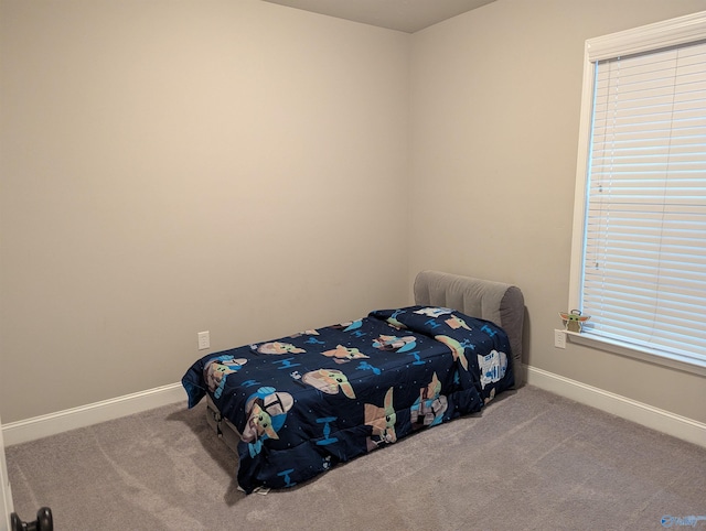 bedroom with carpet flooring