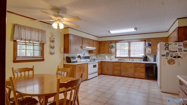 kitchen featuring under cabinet range hood, white appliances, and brown cabinets