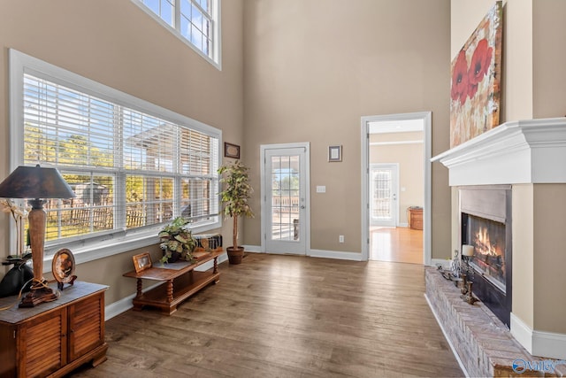 foyer entrance featuring baseboards, a high ceiling, and wood finished floors