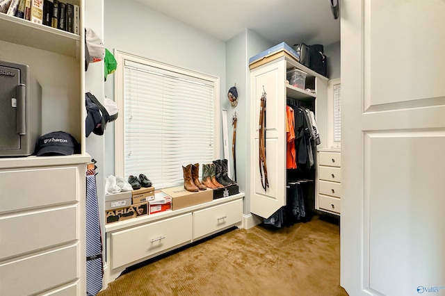 mudroom featuring light carpet