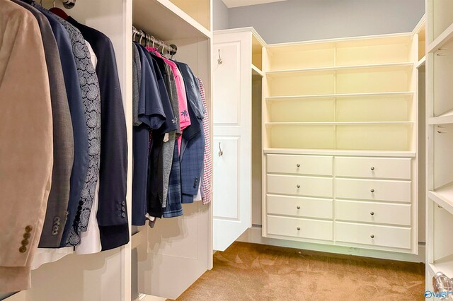 spacious closet featuring light carpet