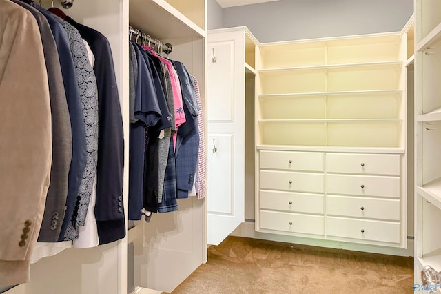 spacious closet with carpet floors
