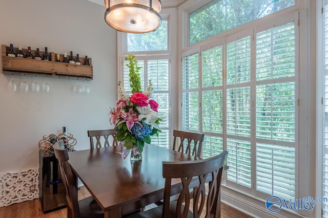 dining area featuring wood-type flooring and plenty of natural light