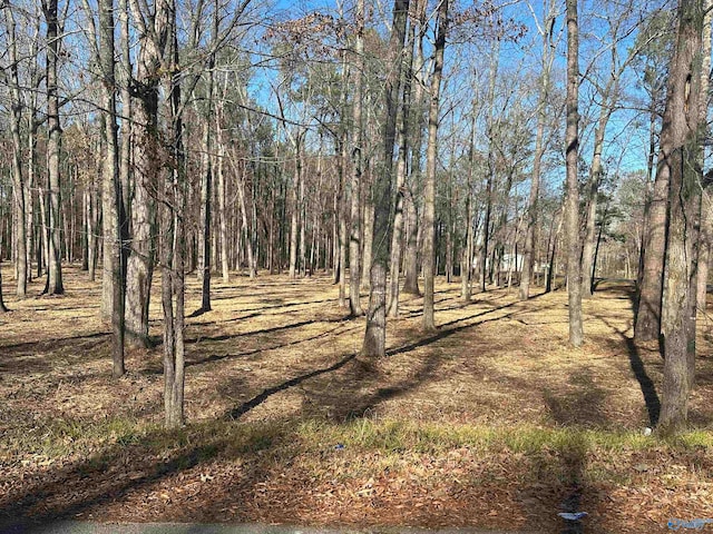 Listing photo 3 for 8.83ACRES Wilcox St, Attalla AL 35954