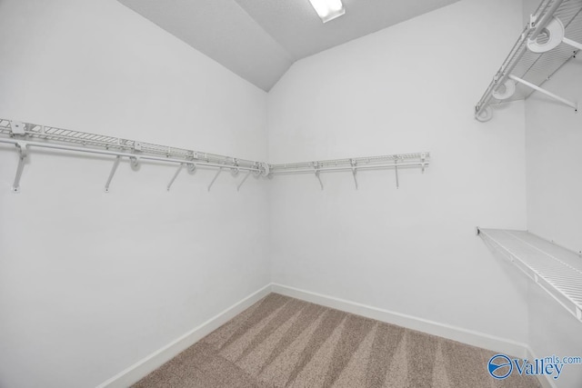 119 Cannes Dr, Brownsboro, AL 35741 - spacious closet featuring carpet flooring and lofted ceiling