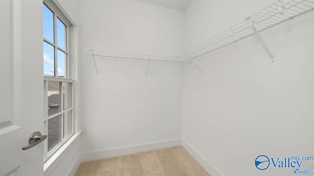 spacious closet with light carpet