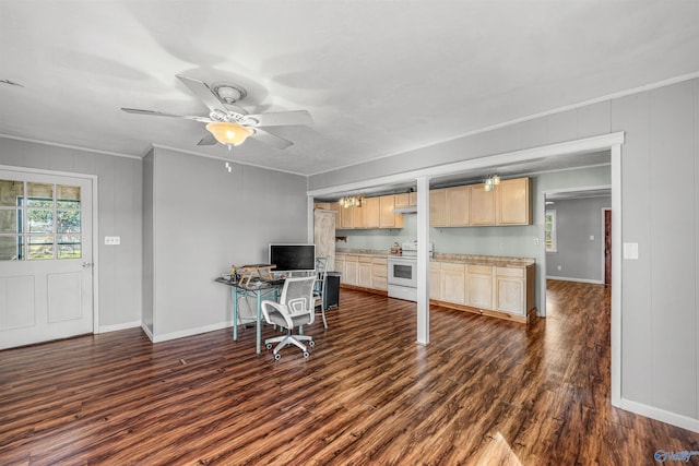 office with ornamental molding, ceiling fan, baseboards, and dark wood-style flooring