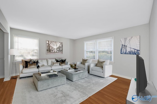 living room with hardwood / wood-style flooring and plenty of natural light