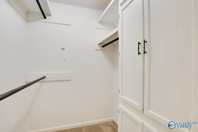 spacious closet with light carpet