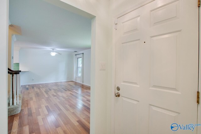 foyer with light wood-type flooring