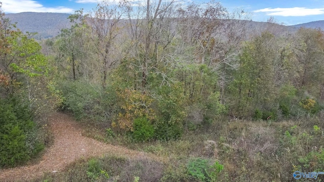4623 Legacy Preserve Way SE, Brownsboro, AL 35741