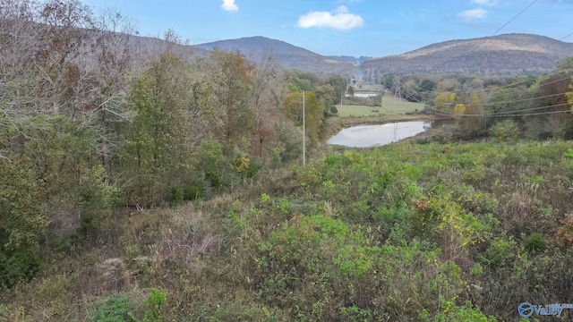 4623 Legacy Preserve Way SE, Brownsboro, AL 35741