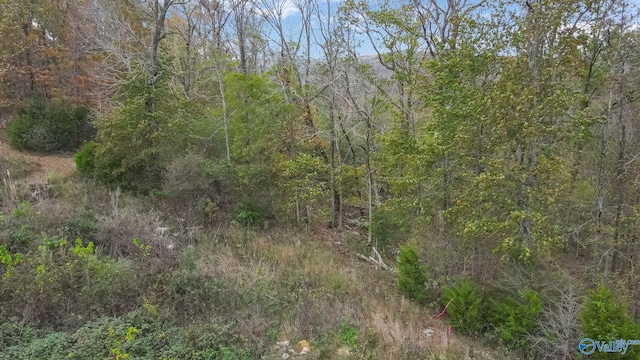 4623 Legacy Preserve Way SE, Brownsboro, AL 35741