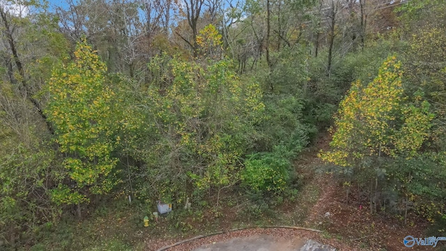 4623 Legacy Preserve Way SE, Brownsboro, AL 35741
