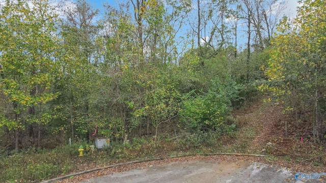 4623 Legacy Preserve Way SE, Brownsboro, AL 35741