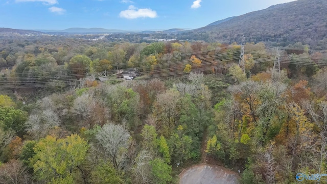 4623 Legacy Preserve Way SE, Brownsboro, AL 35741