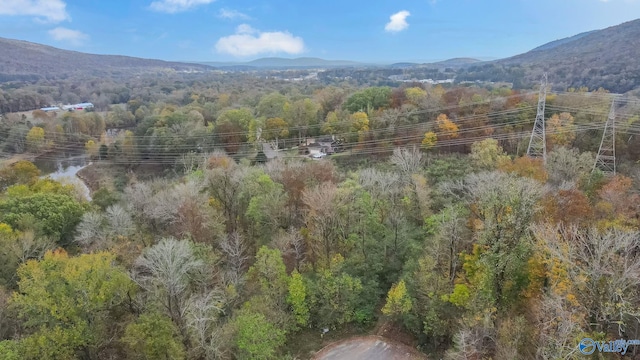 4623 Legacy Preserve Way SE, Brownsboro, AL 35741