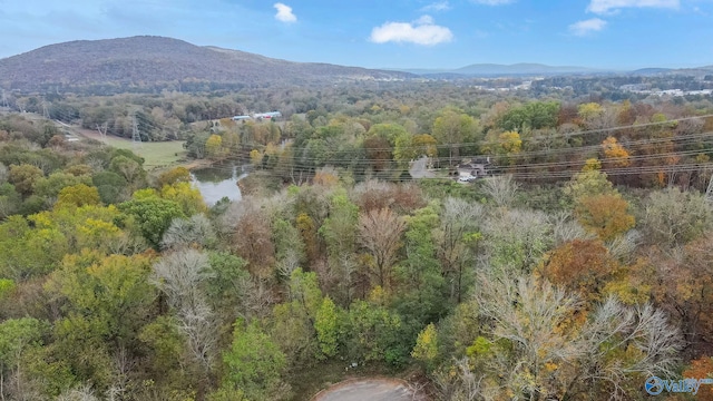 4623 Legacy Preserve Way SE, Brownsboro, AL 35741