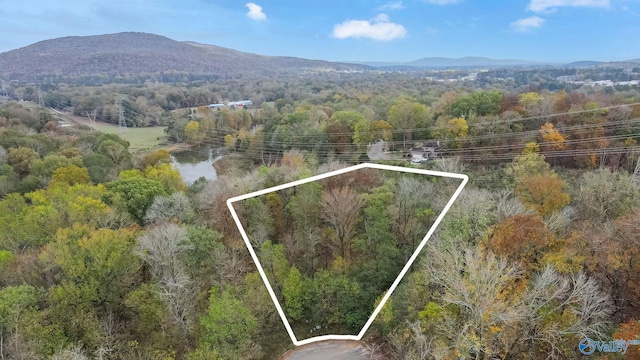 4623 Legacy Preserve Way SE, Brownsboro, AL 35741