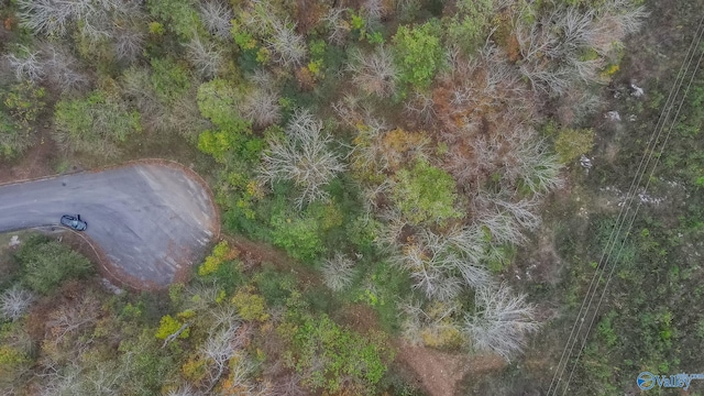 4623 Legacy Preserve Way SE, Brownsboro, AL 35741