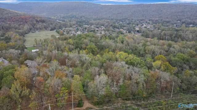 4623 Legacy Preserve Way SE, Brownsboro, AL 35741