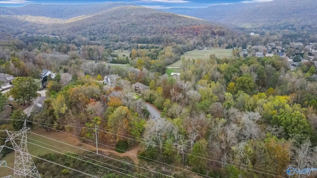 4623 Legacy Preserve Way SE, Brownsboro, AL 35741