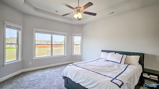 7607 NW Ashor Dr, Huntsville, AL 35806 - carpeted bedroom with multiple windows, a tray ceiling, and ceiling fan
