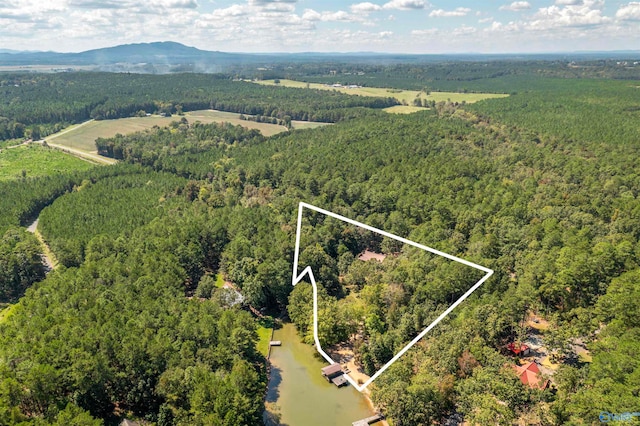 birds eye view of property with a mountain view