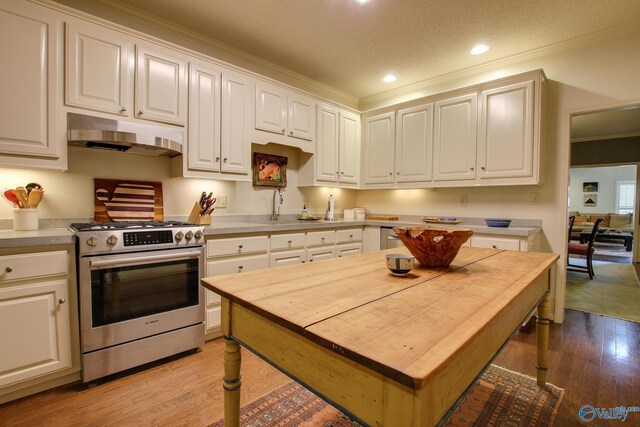 1625 River Bend Pl SE, Decatur, AL 35601 - kitchen with stainless steel range with gas cooktop, under cabinet range hood, a sink, ornamental molding, and recessed lighting