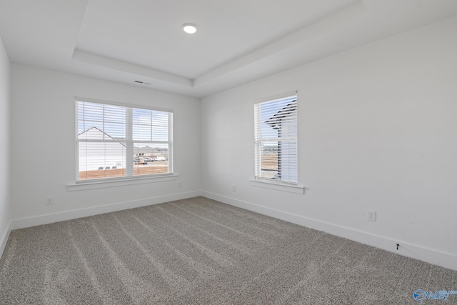 193 Chesire Cove Ln, New Market, AL 35761 - empty room featuring visible vents, baseboards, a tray ceiling, and carpet floors