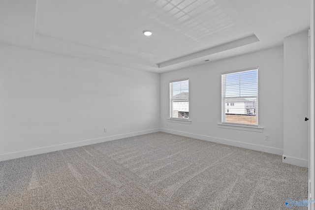 193 Chesire Cove Ln, New Market, AL 35761 - empty room featuring a raised ceiling, baseboards, and light carpet