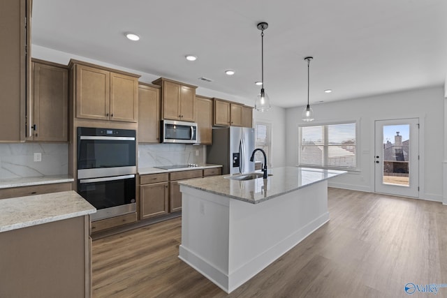 193 Chesire Cove Ln, New Market, AL 35761 - kitchen featuring tasteful backsplash, a center island with sink, appliances with stainless steel finishes, wood finished floors, and a sink