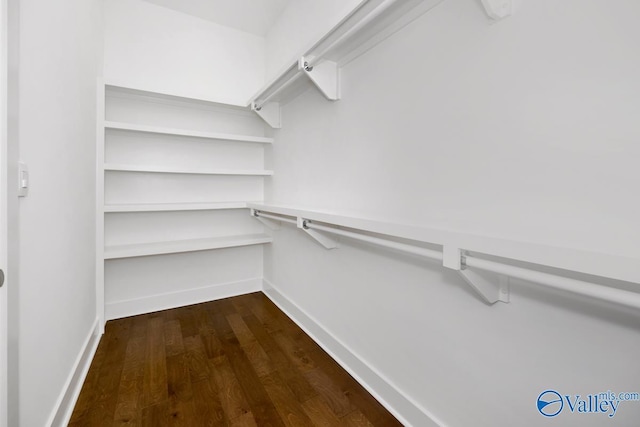 spacious closet with hardwood / wood-style flooring