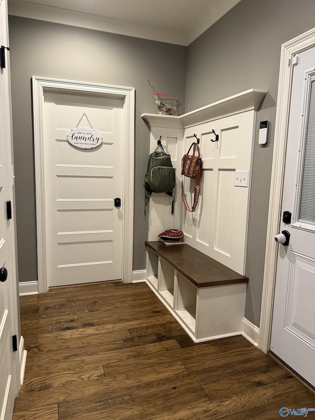 mudroom with dark hardwood / wood-style flooring