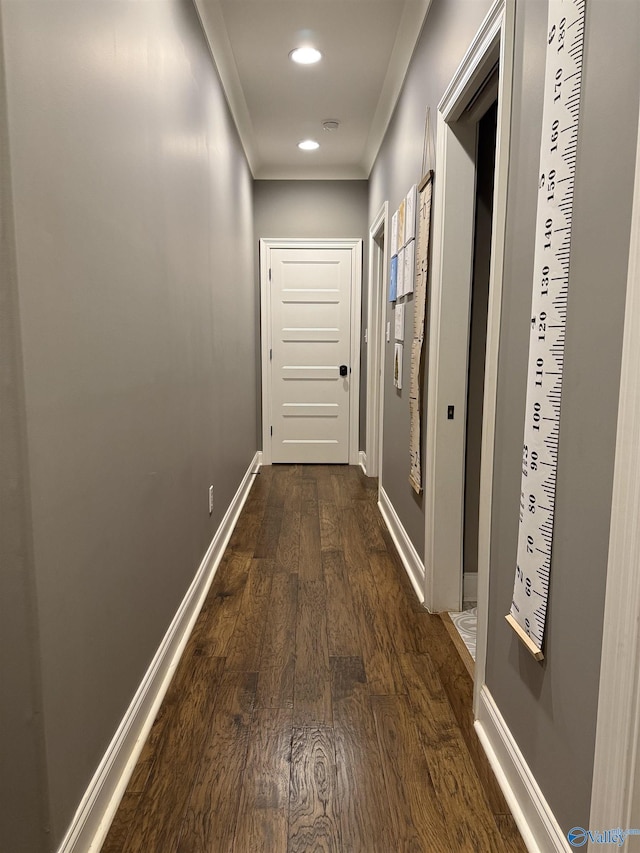 hallway featuring ornamental molding and dark hardwood / wood-style floors