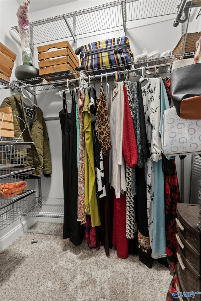 208 Honor Way, Madison, AL 35758 - spacious closet featuring carpet flooring