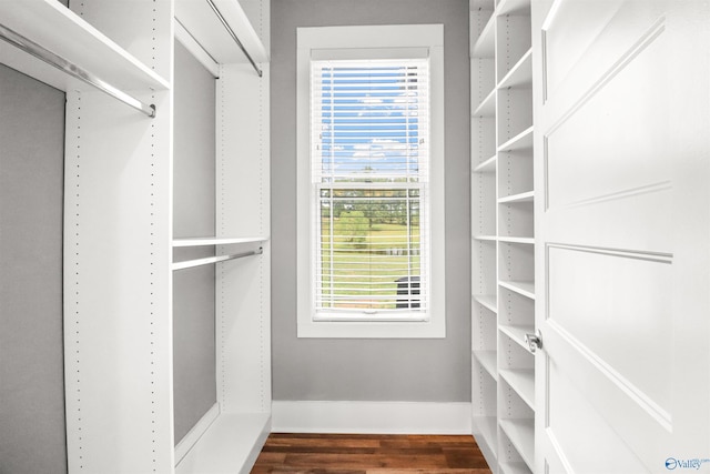 spacious closet featuring dark wood-style floors